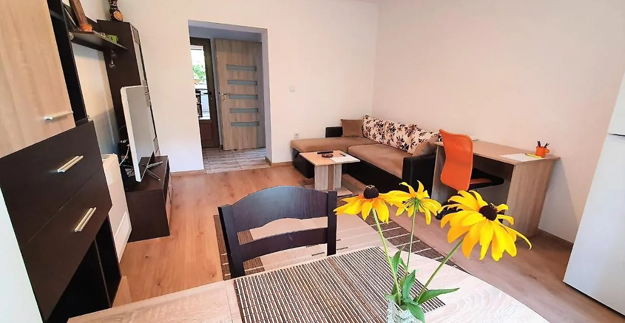 Albisto Dragalevtsi Luxury Apartments 索菲亞 0*,